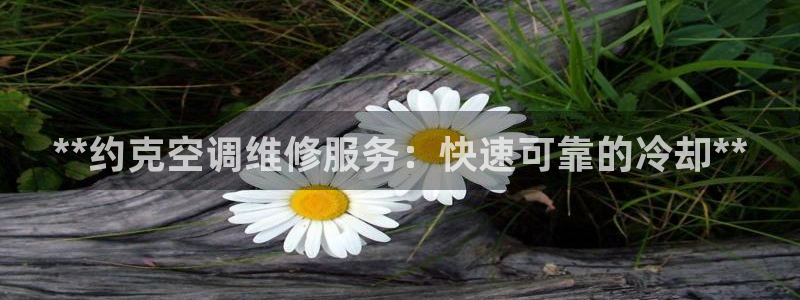 环球360的官网客服在哪里找