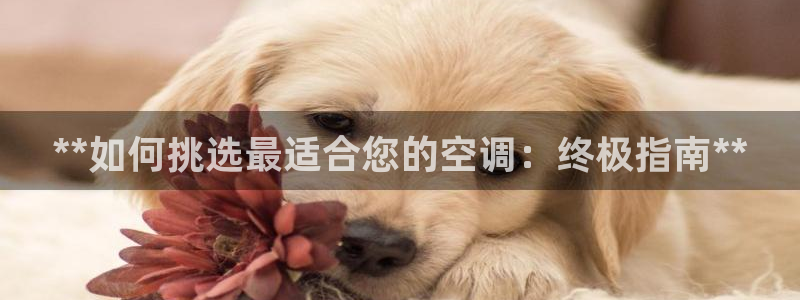 环球360官网UG客服电话