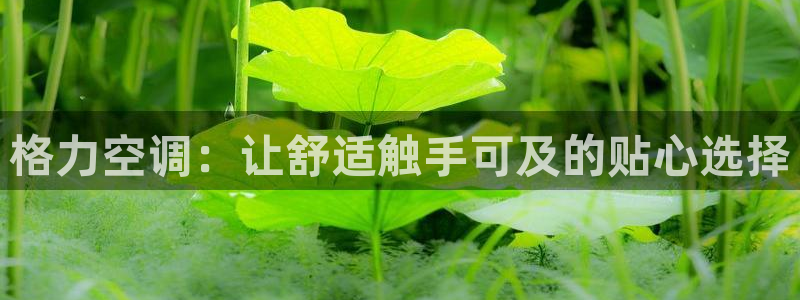环球360网