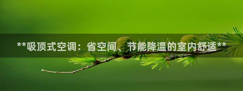 环球360正网