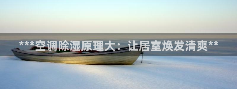 环球360登录入口
