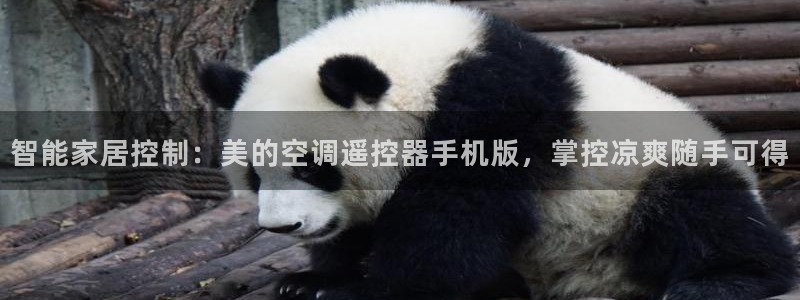 环球360官网手机版app