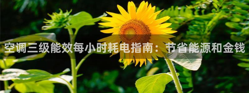 环球360一比一包杀威agkk19在