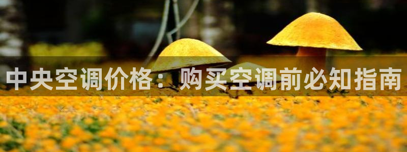 环球360网站最新官网地址是多少