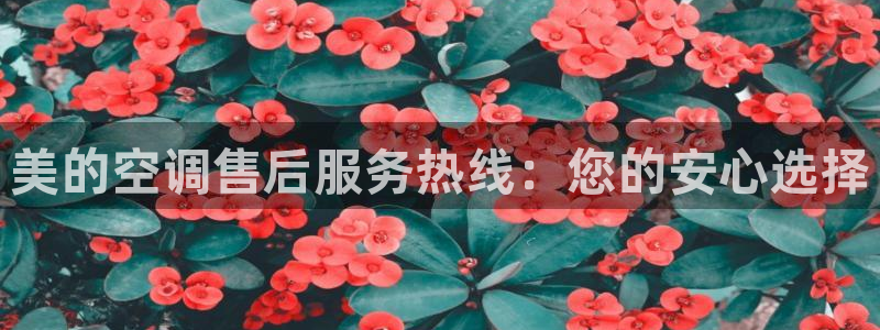 环球360能赢到钱吗