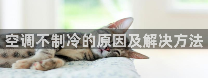 环球360苹果手机下载